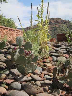 Thumbnail 28 of 215.