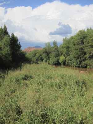 Thumbnail 32 of 215.