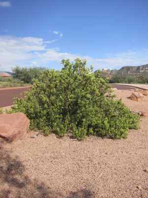 Thumbnail 34 of 215.