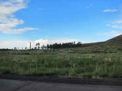 Thumbnail 39 of 215.