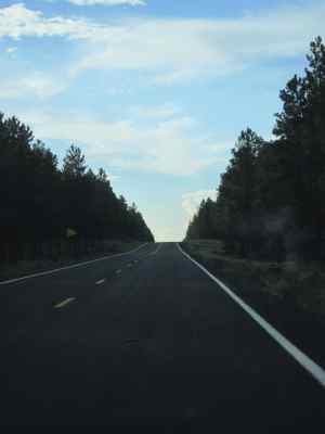 Thumbnail 40 of 215.