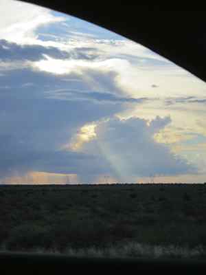 Thumbnail 44 of 215.