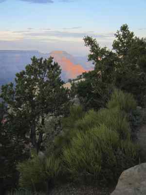 Thumbnail 47 of 215.