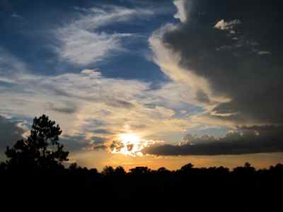 Thumbnail 48 of 215.