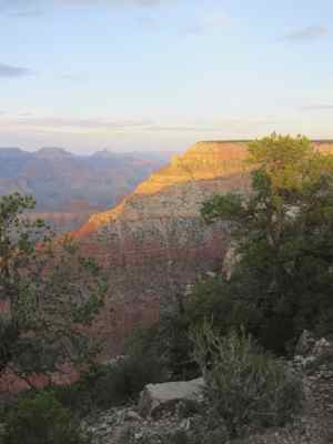 Thumbnail 50 of 215.