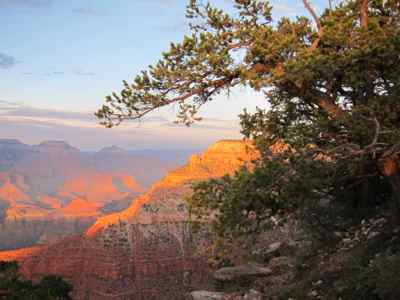 Thumbnail 53 of 215.