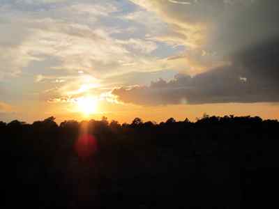 Thumbnail 54 of 215.