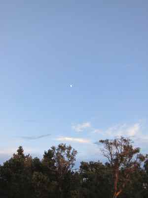 Thumbnail 58 of 215.