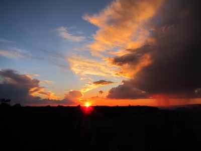 Thumbnail 59 of 215.