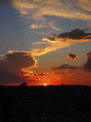 Thumbnail 61 of 215.