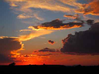 Thumbnail 62 of 215.