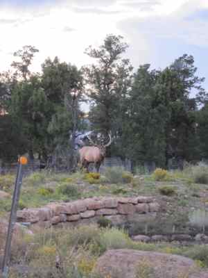 Thumbnail 64 of 215.