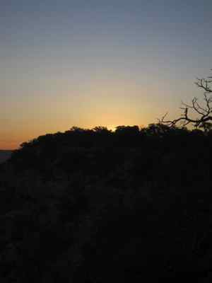 Thumbnail 67 of 215.