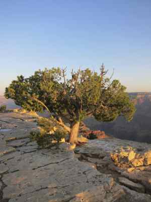 Thumbnail 71 of 215.