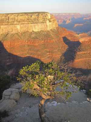 Thumbnail 73 of 215.