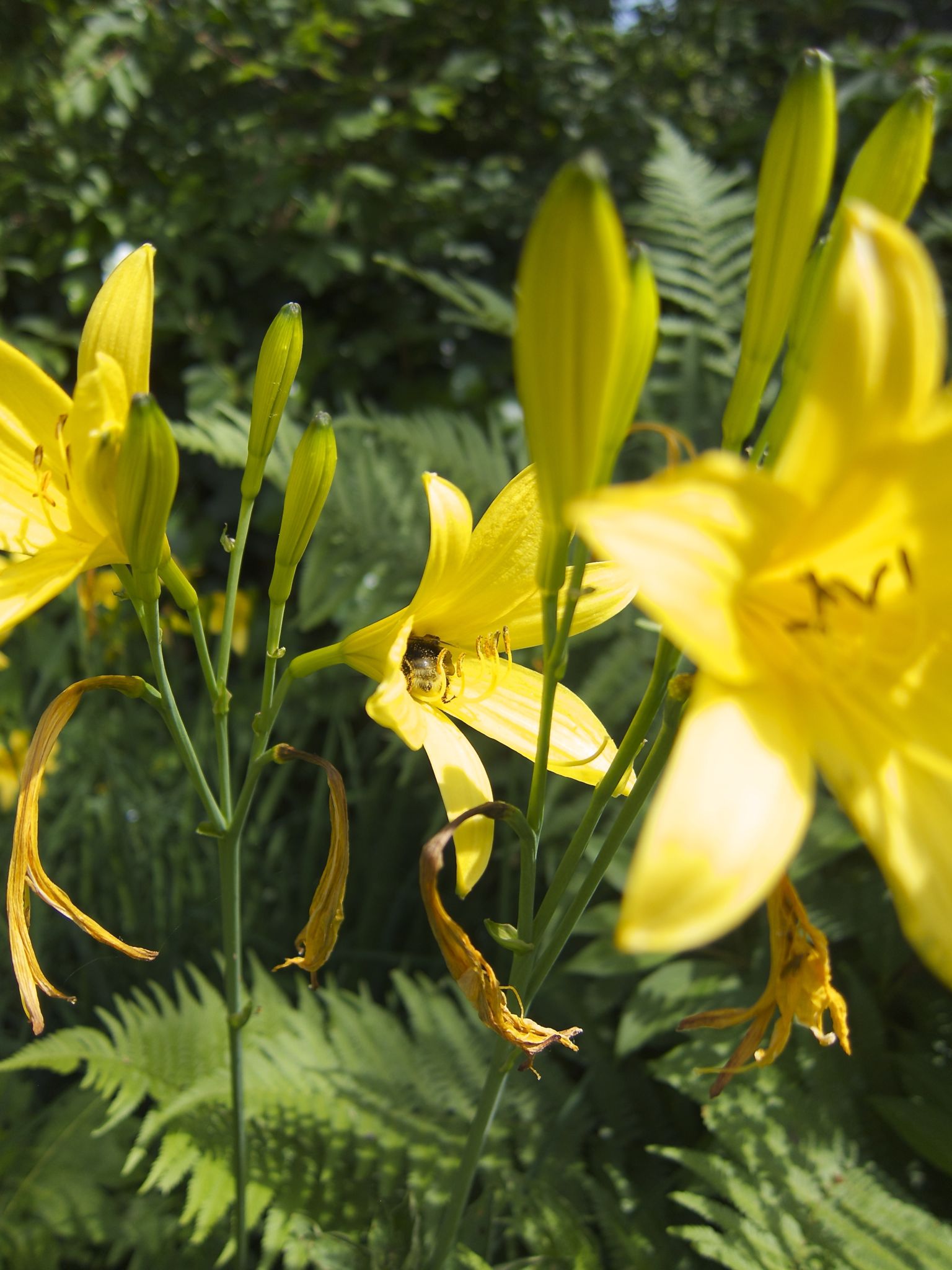 Photo 1 of 69 from the album Spring.