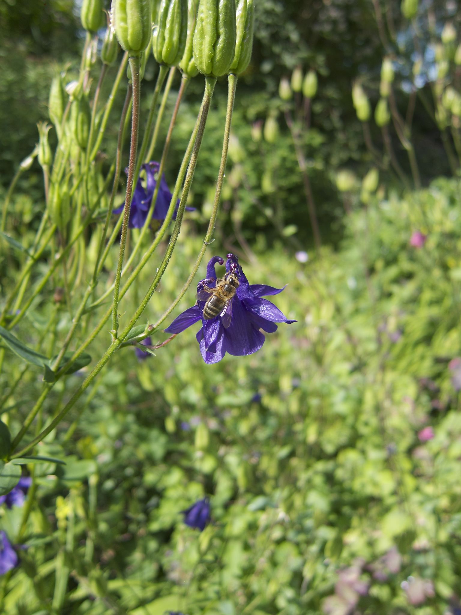 Photo 14 of 69 from the album Spring.