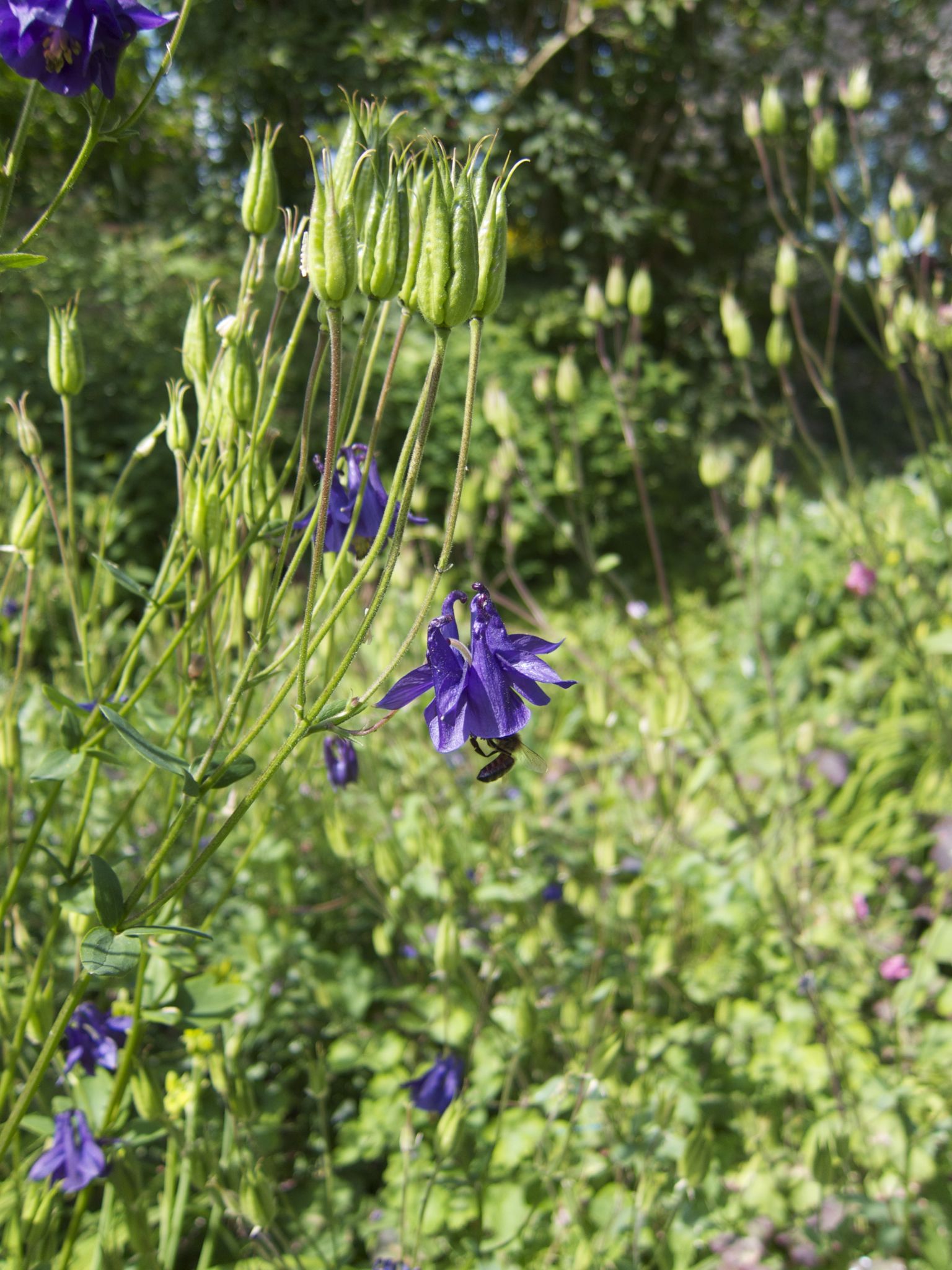 Photo 15 of 69 from the album Spring.