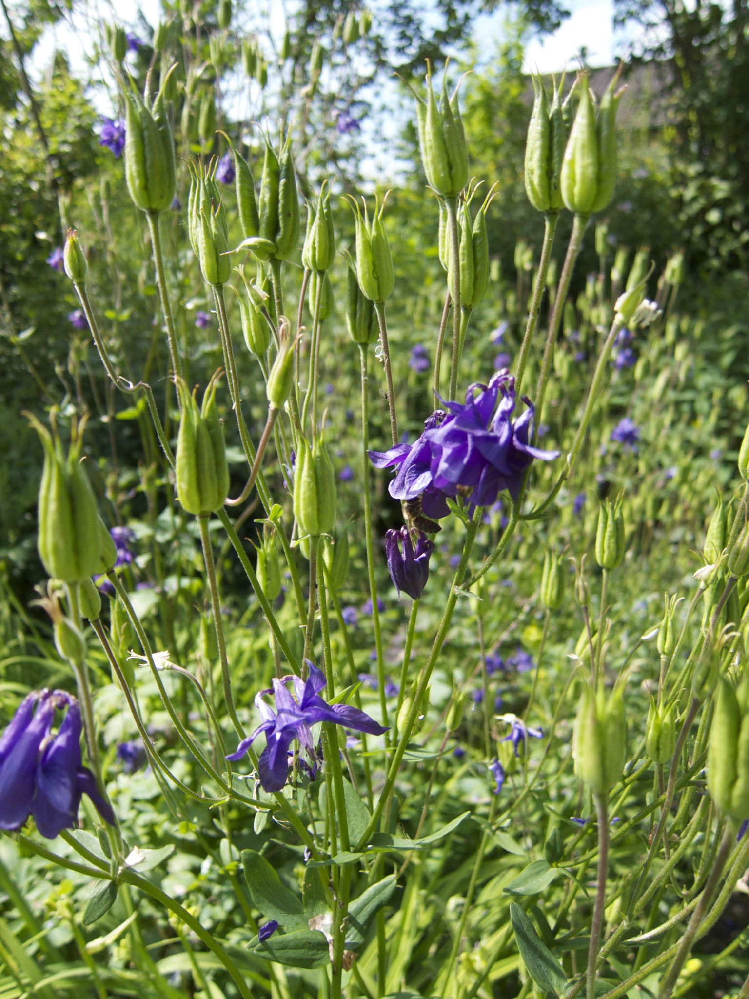 Photo 16 of 69 from the album Spring.