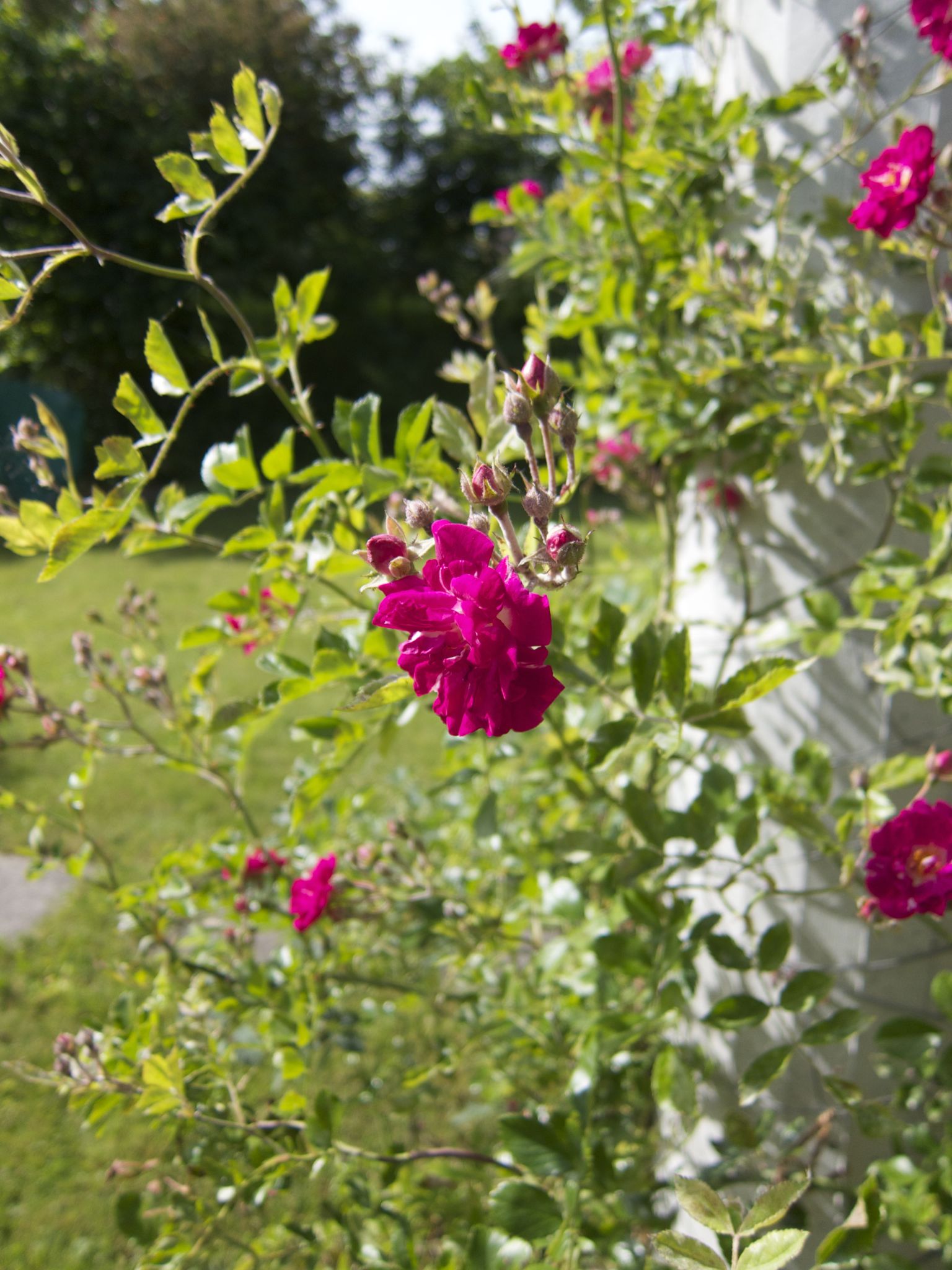 Photo 19 of 69 from the album Spring.