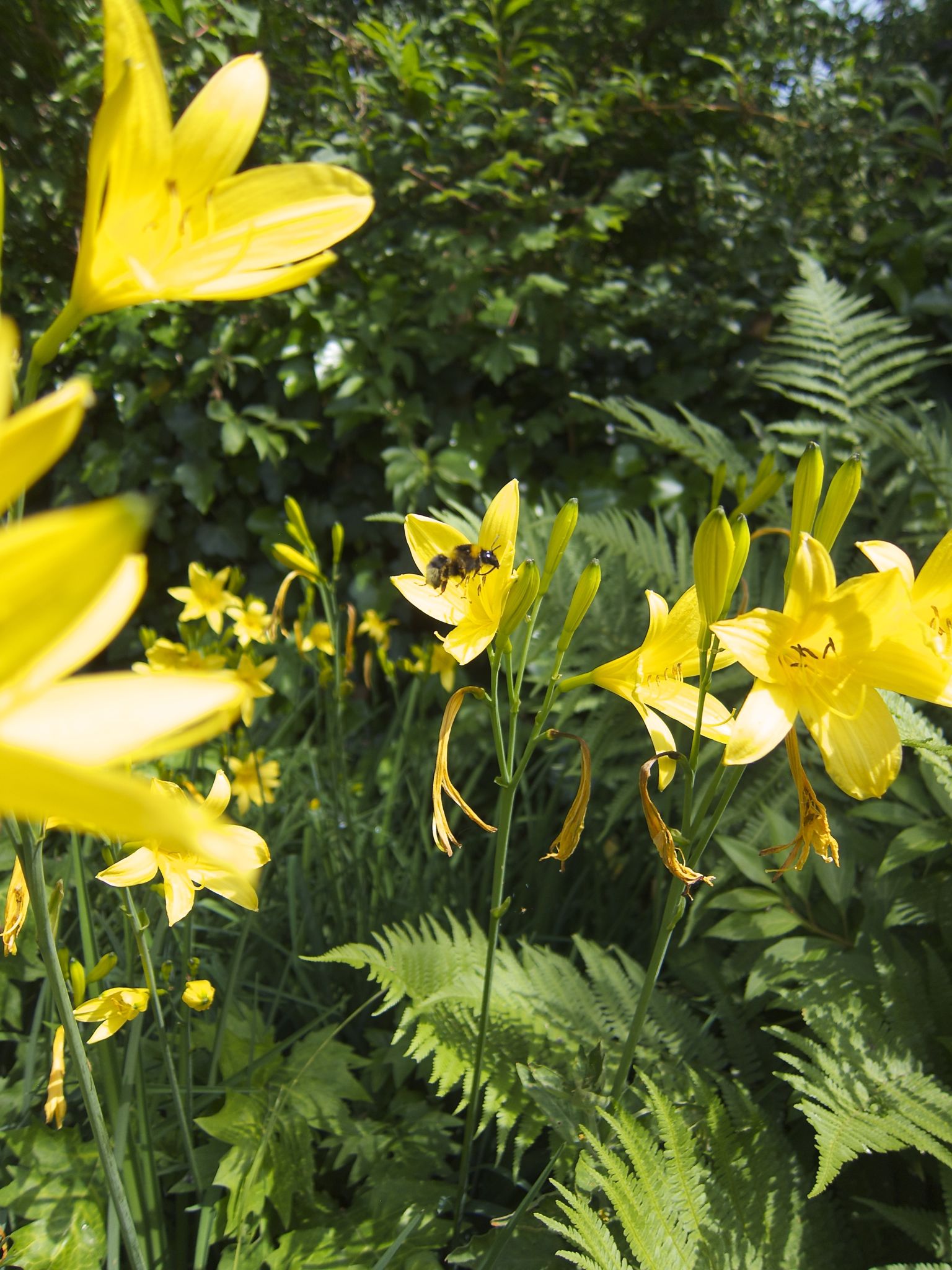 Photo 2 of 69 from the album Spring.