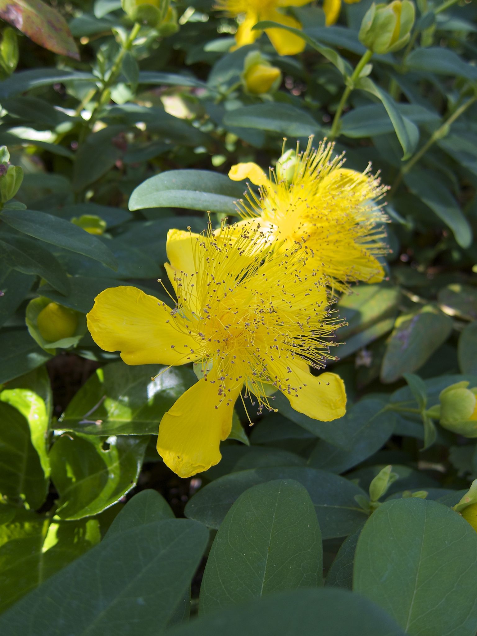 Photo 23 of 69 from the album Spring.