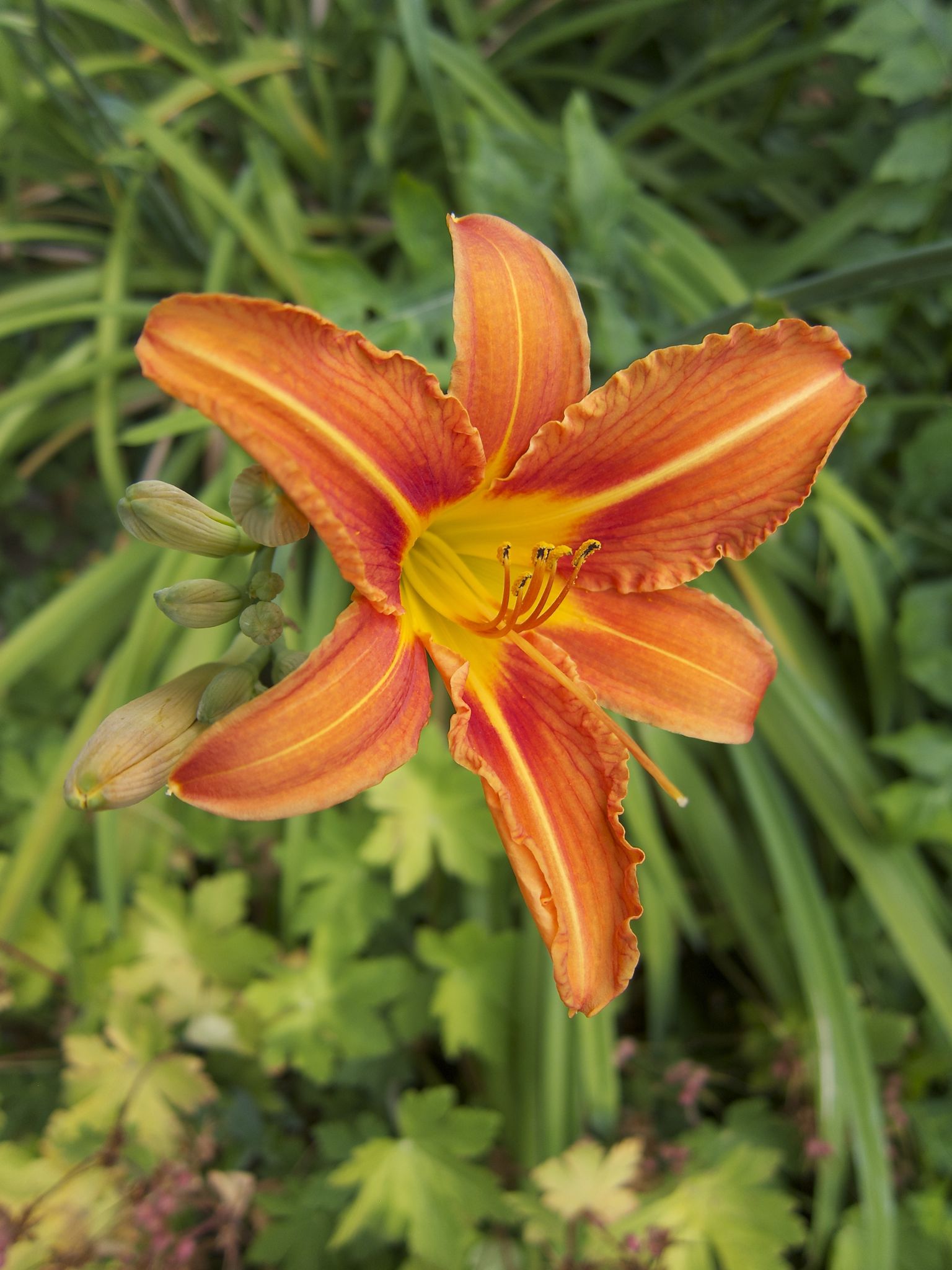 Photo 24 of 69 from the album Spring.