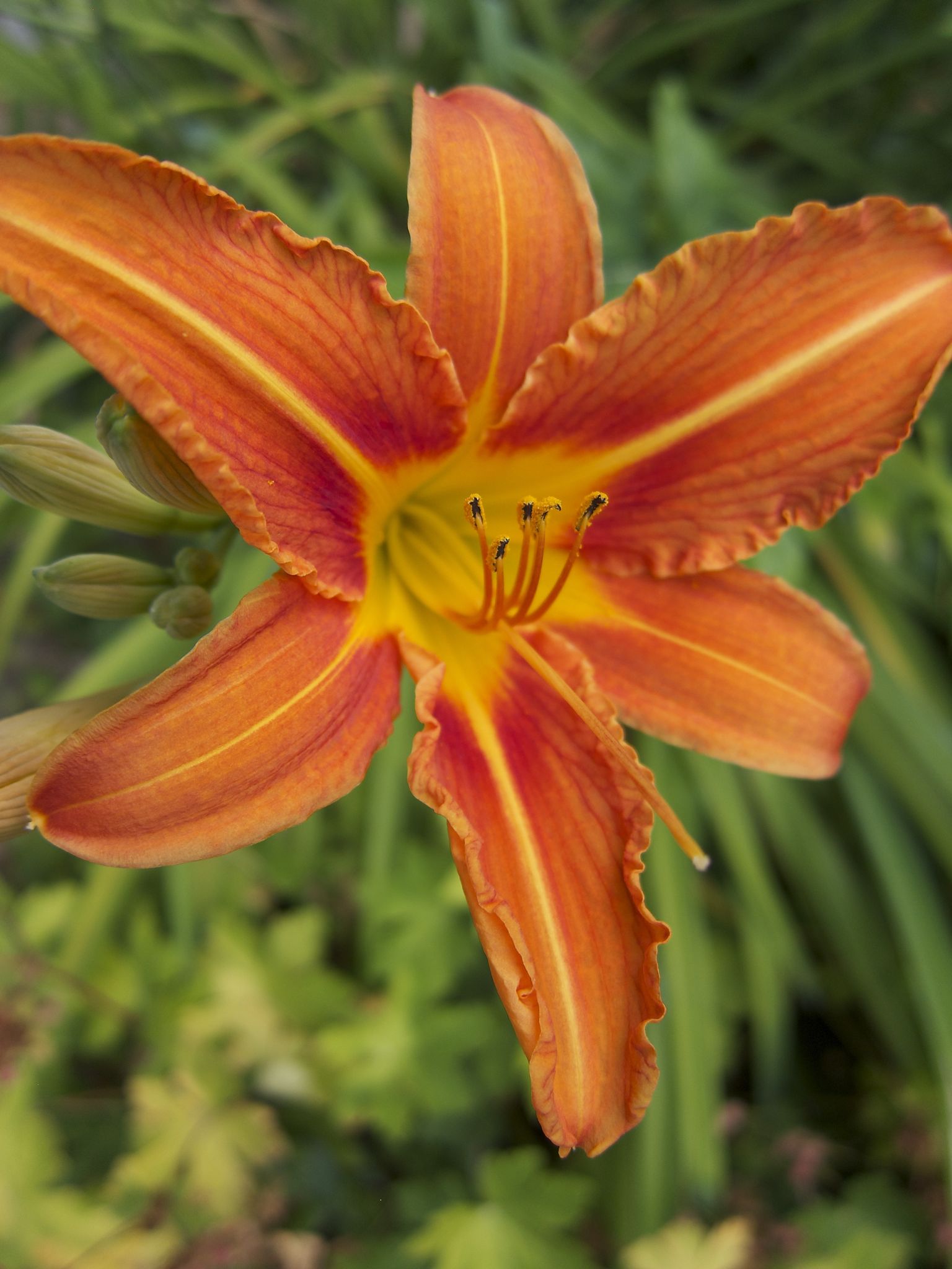 Photo 25 of 69 from the album Spring.