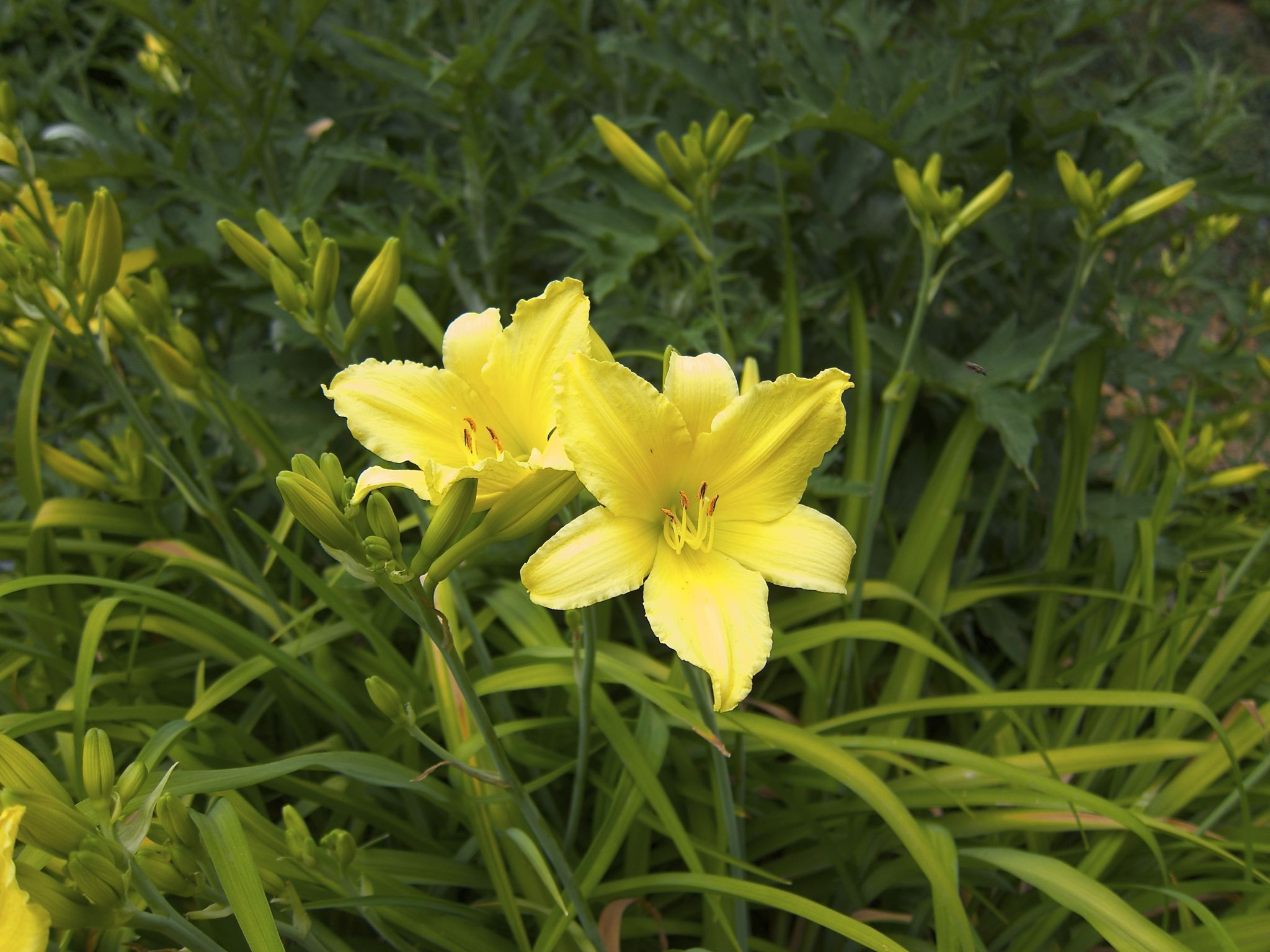 Photo 29 of 69 from the album Spring.