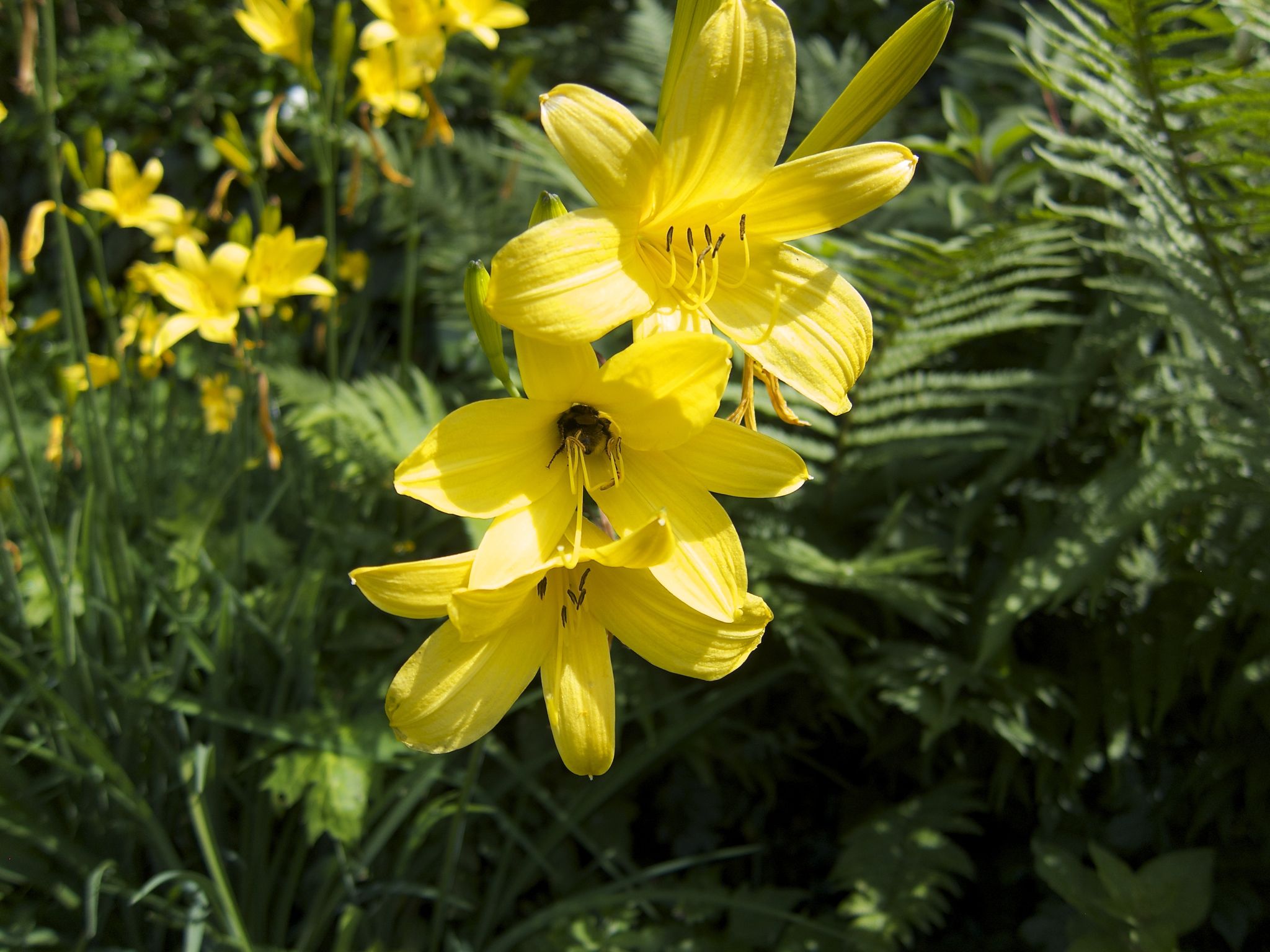 Photo 3 of 69 from the album Spring.