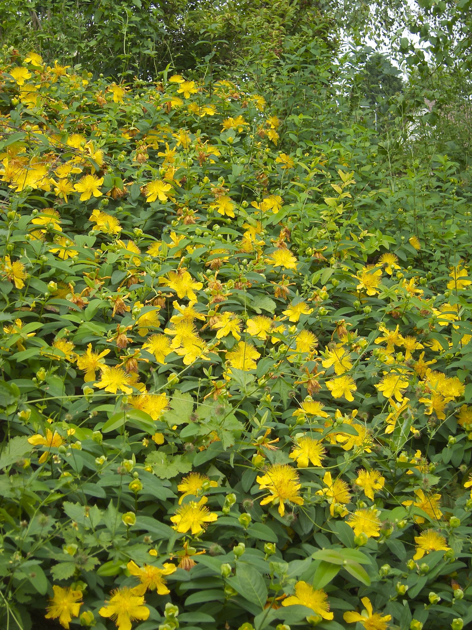 Photo 31 of 69 from the album Spring.