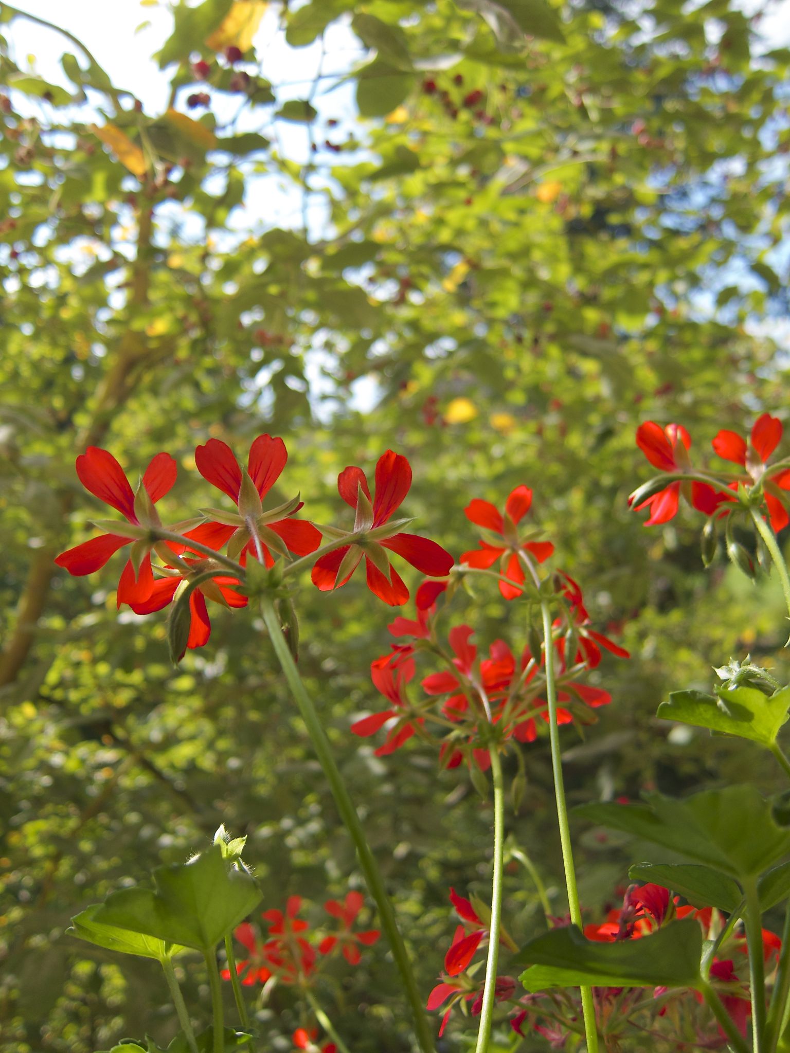 Photo 35 of 69 from the album Spring.