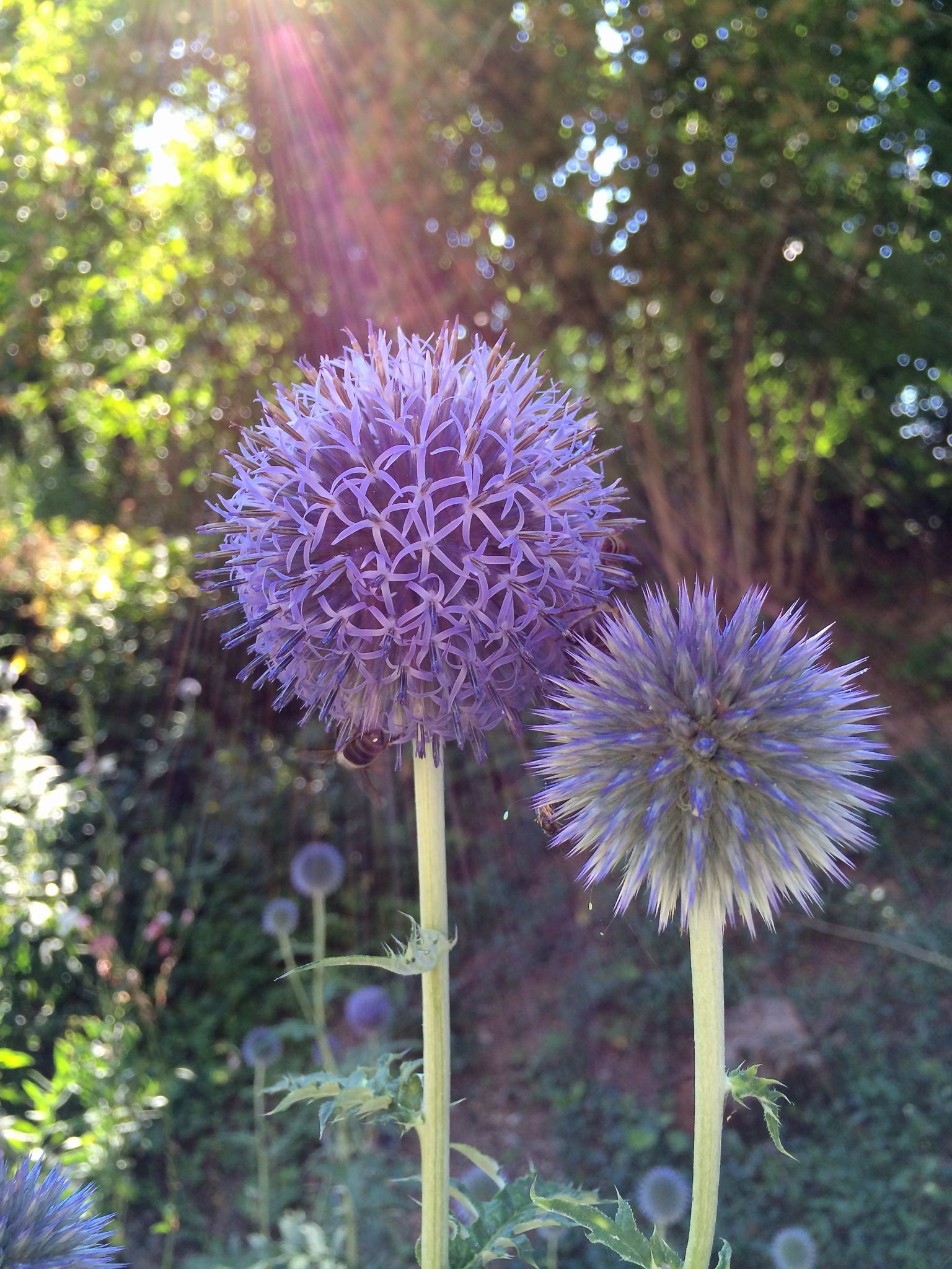 Photo 38 of 69 from the album Spring.