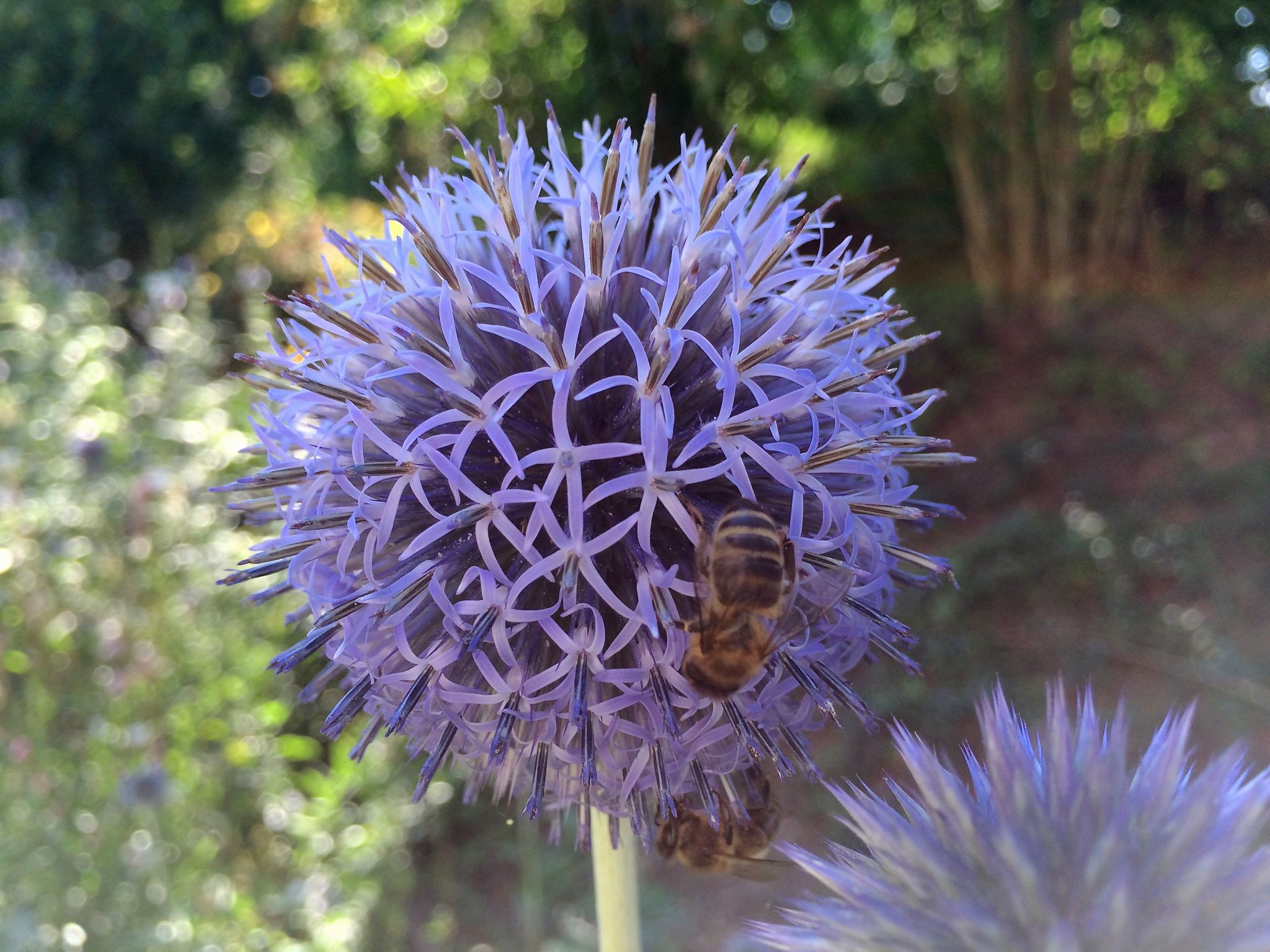 Photo 39 of 69 from the album Spring.