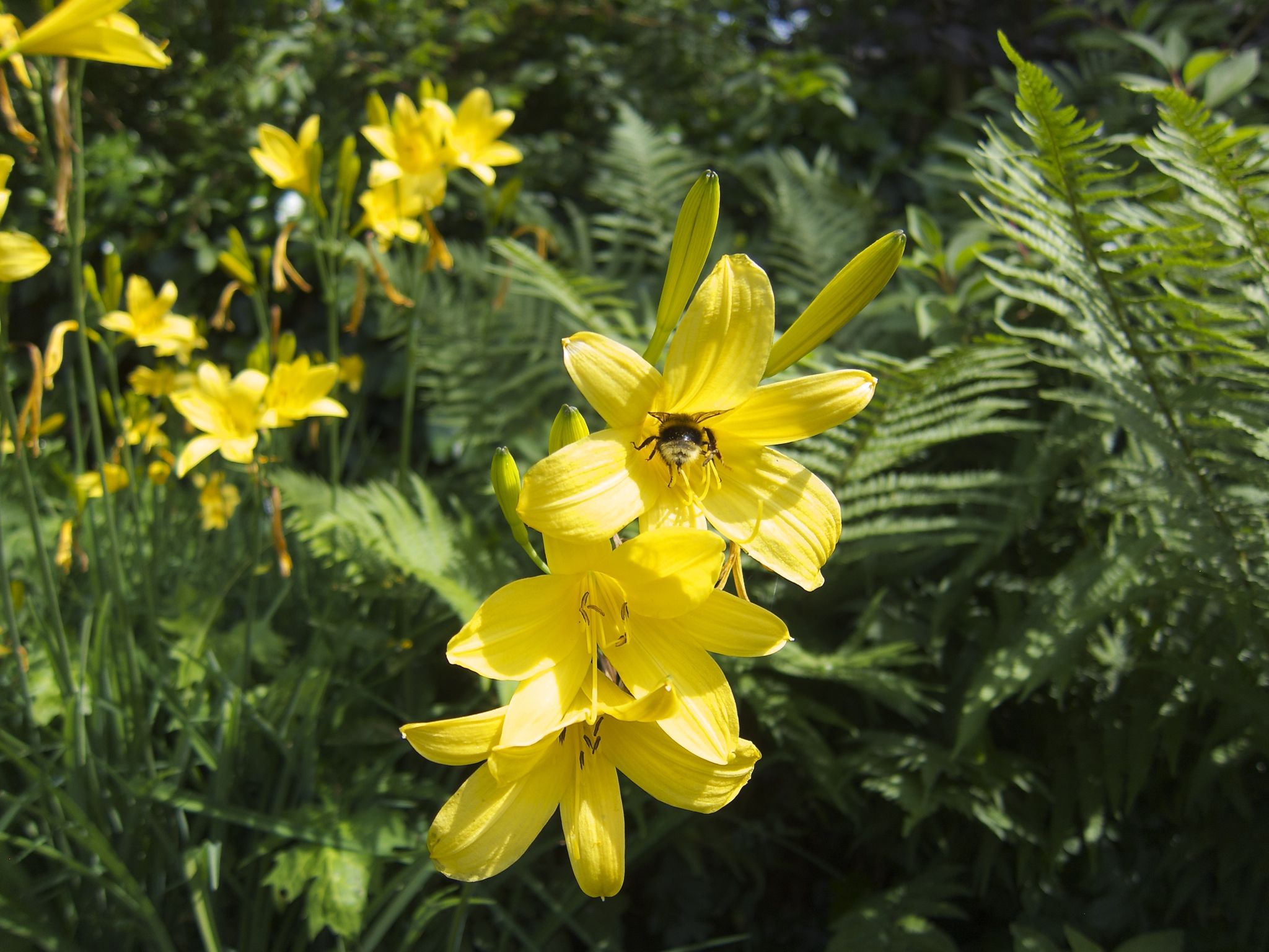 Photo 4 of 69 from the album Spring.