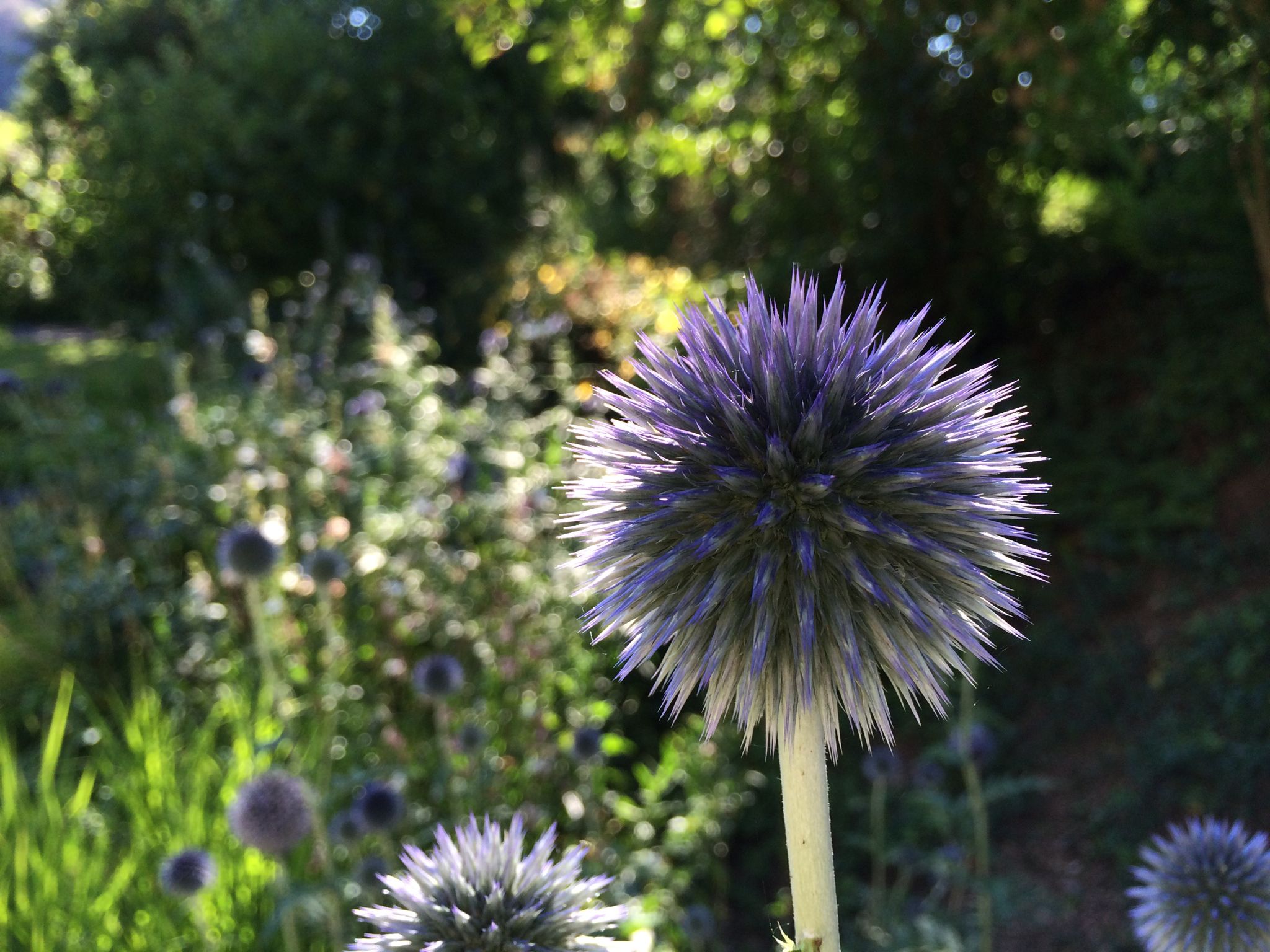 Photo 40 of 69 from the album Spring.