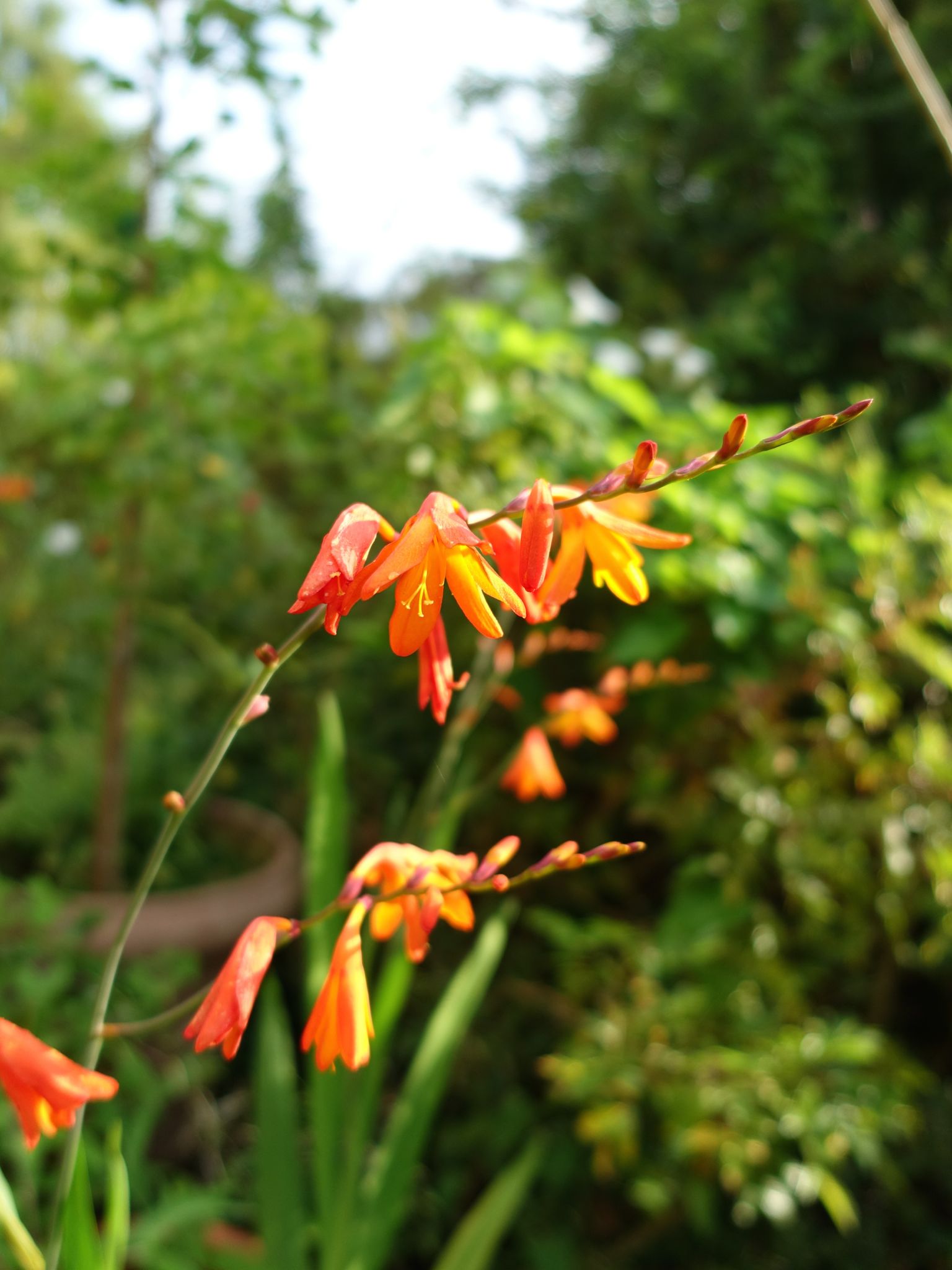 Photo 57 of 69 from the album Spring.