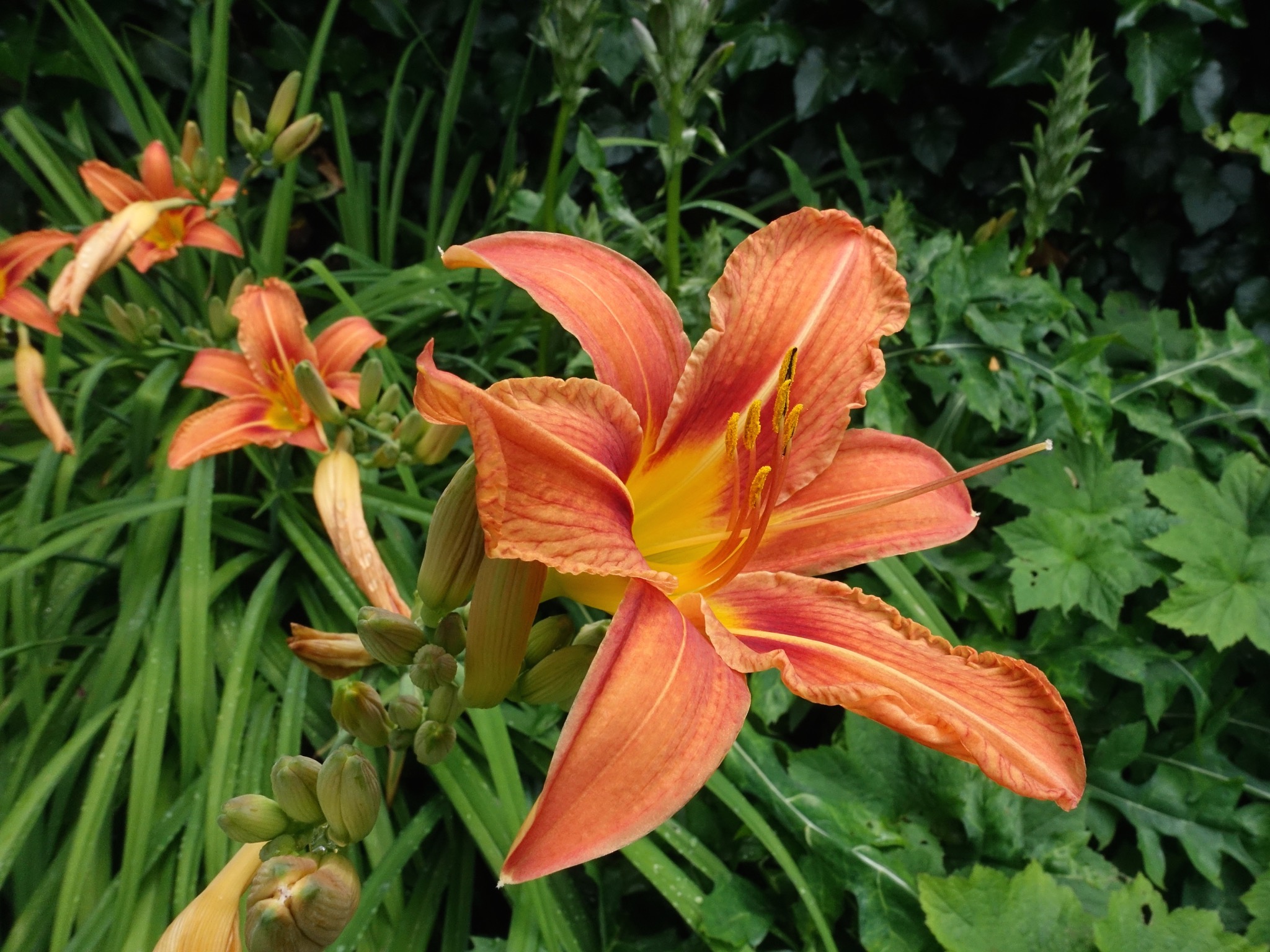 Photo 61 of 69 from the album Spring.