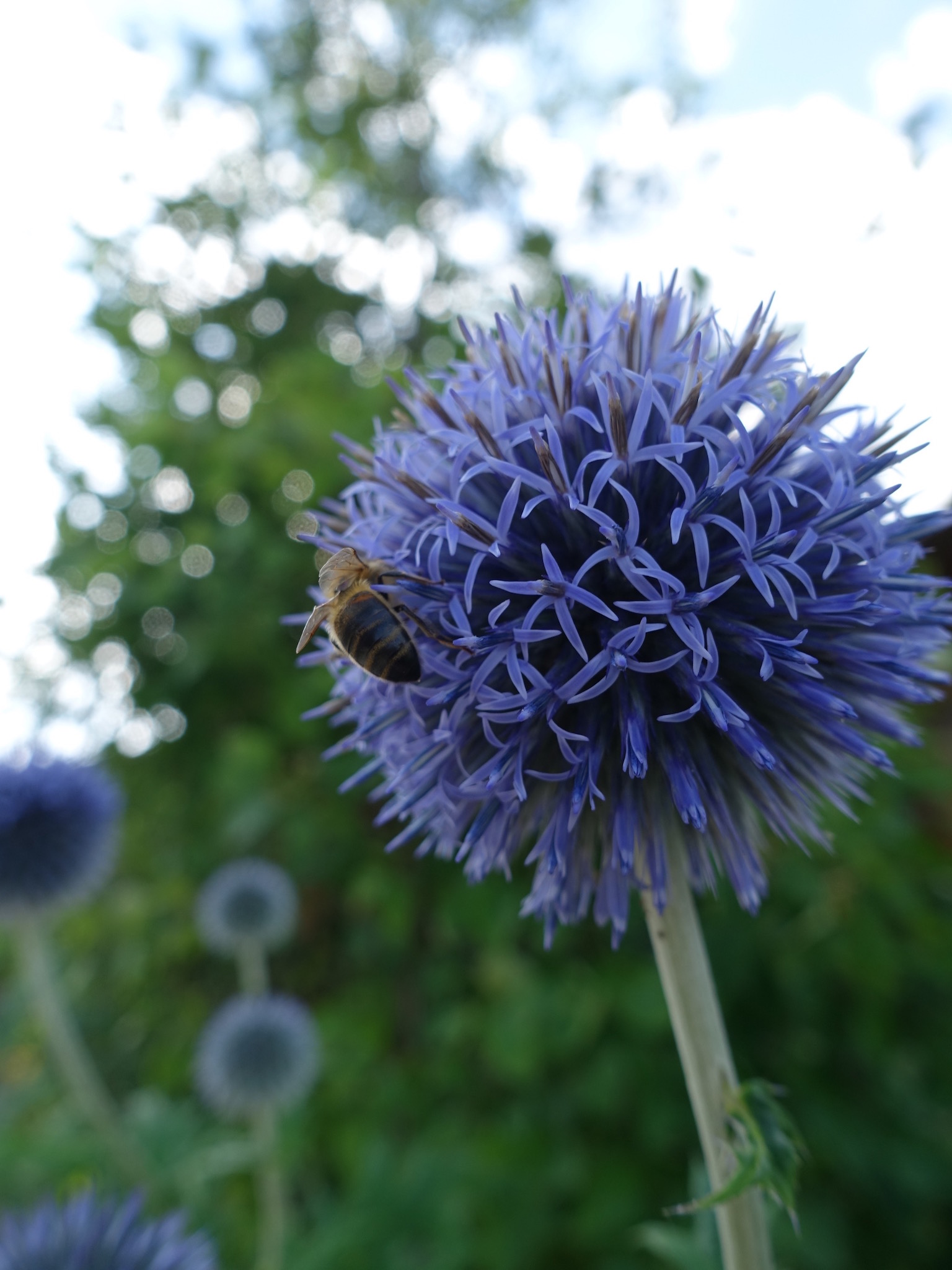 Photo 68 of 69 from the album Spring.