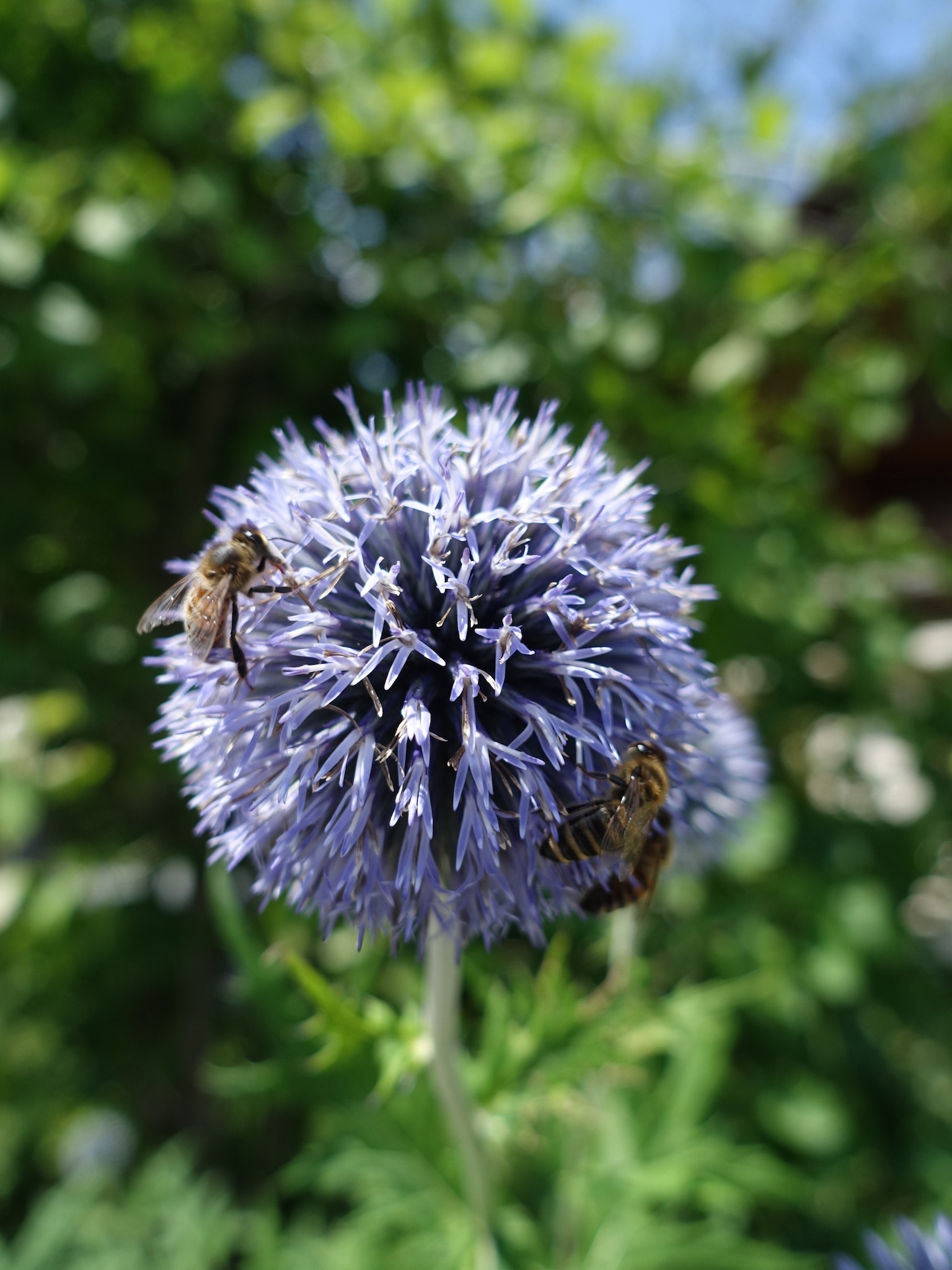 Photo 69 of 69 from the album Spring.