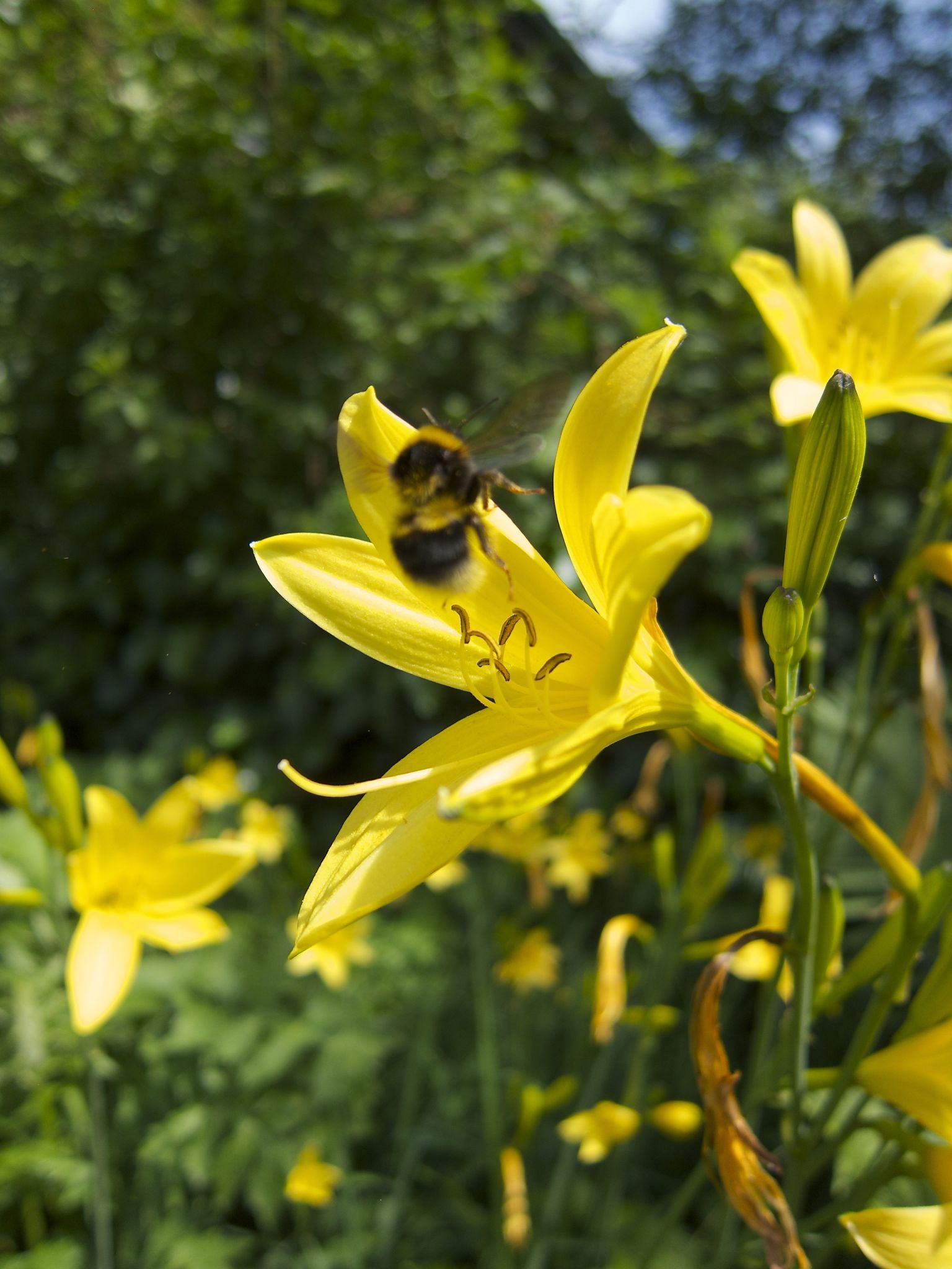 Photo 7 of 69 from the album Spring.