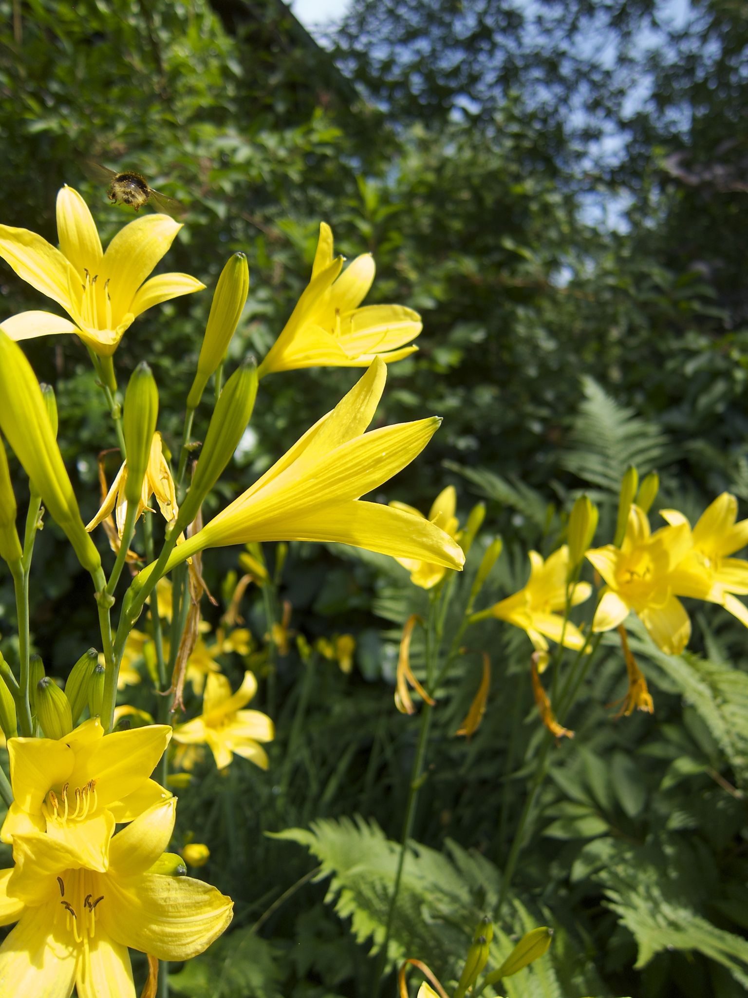 Photo 8 of 69 from the album Spring.