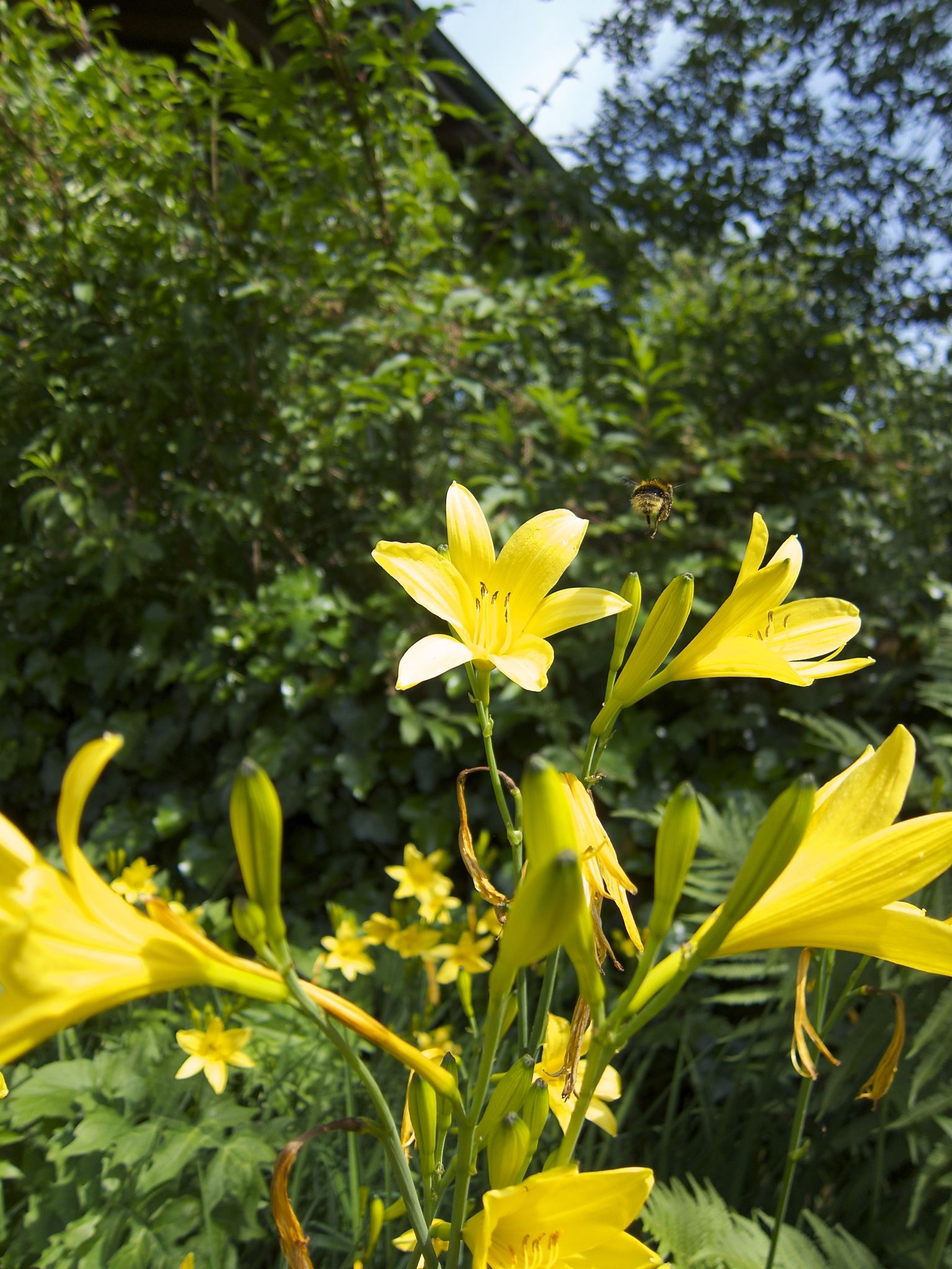 Photo 9 of 69 from the album Spring.