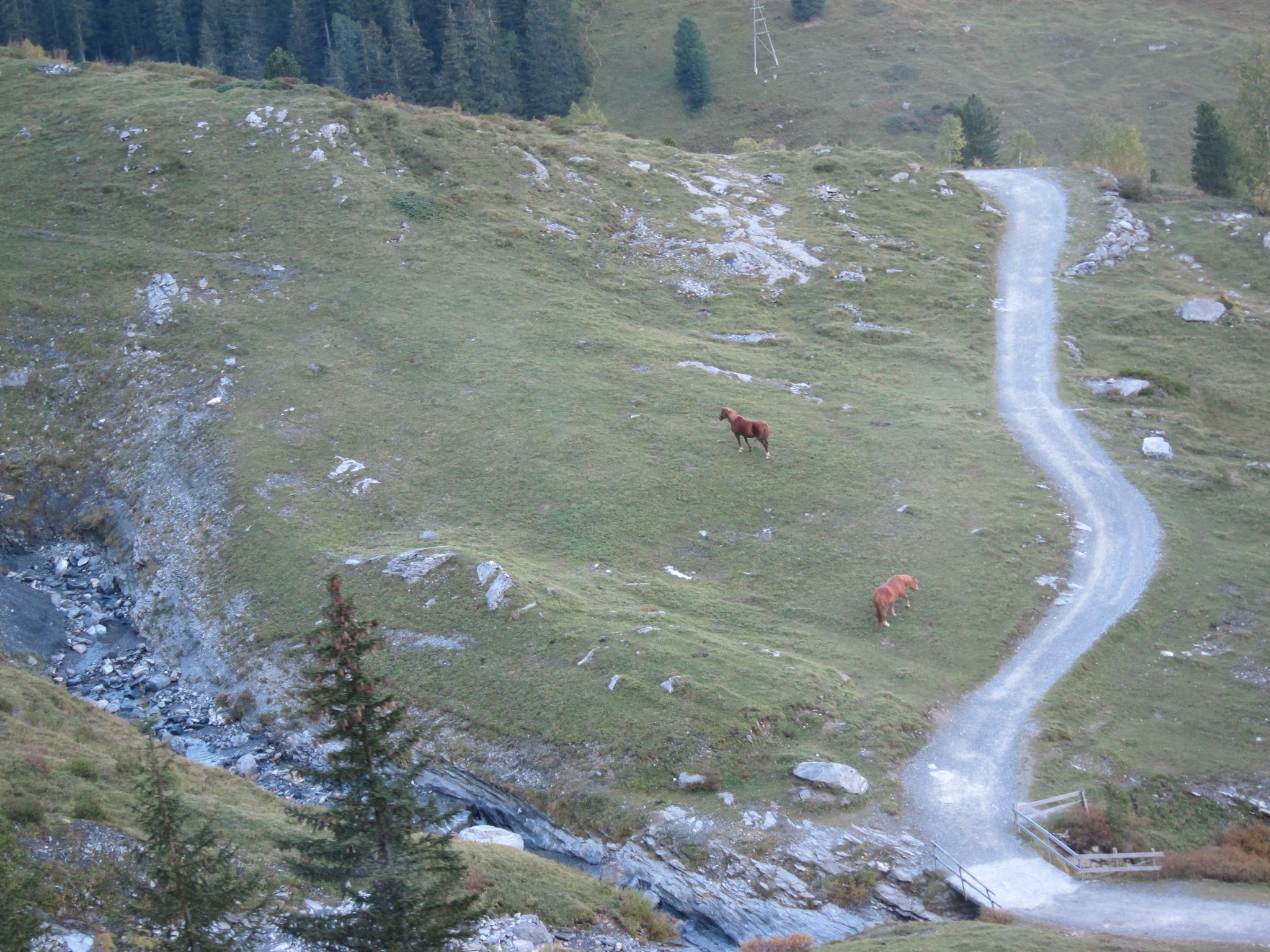 Photo 10 of 58 from the album Top of Europe.