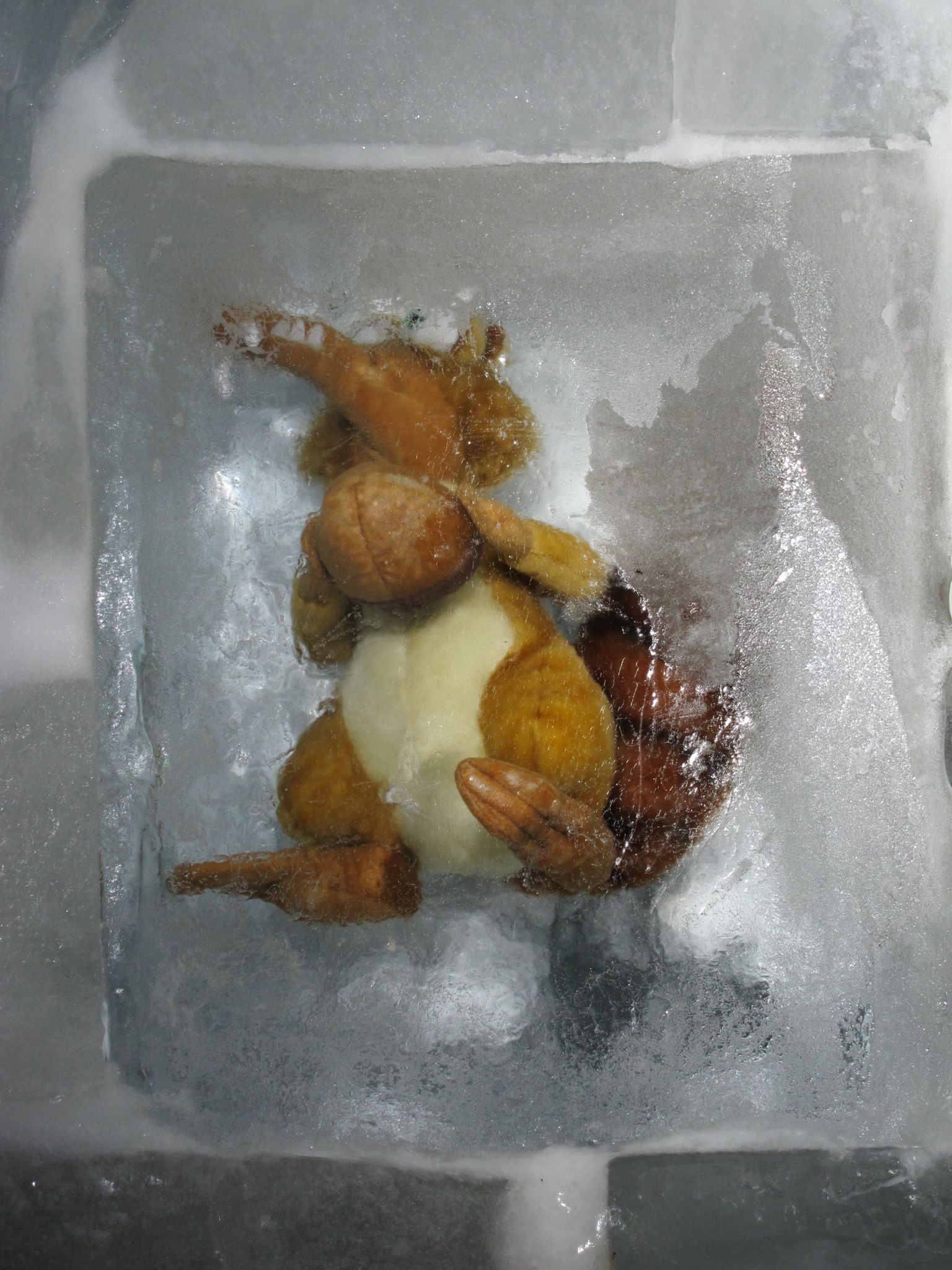 Photo 28 of 58 from the album Top of Europe.