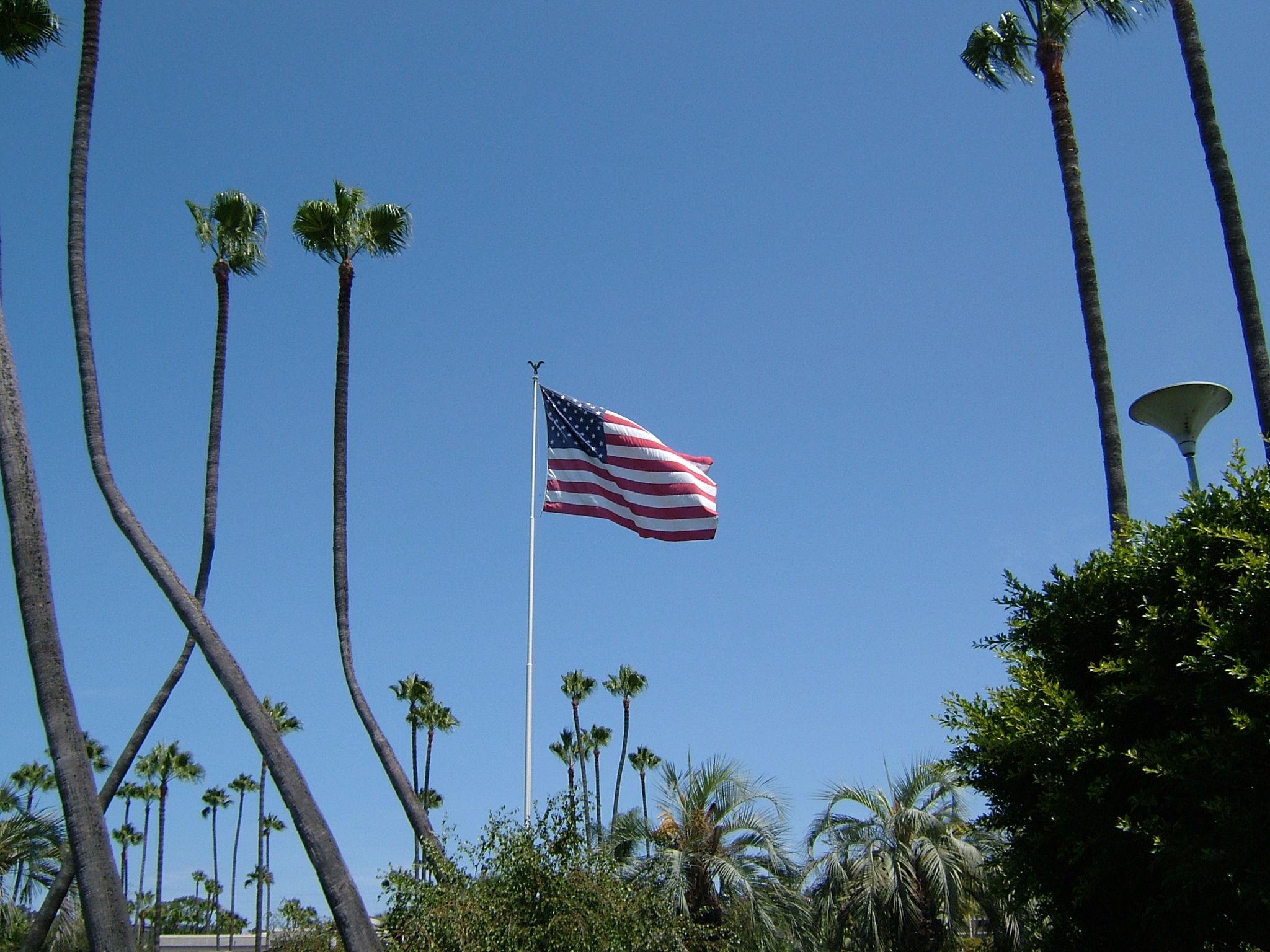 Photo 11 of 61 from the album Highlights USA 2004.