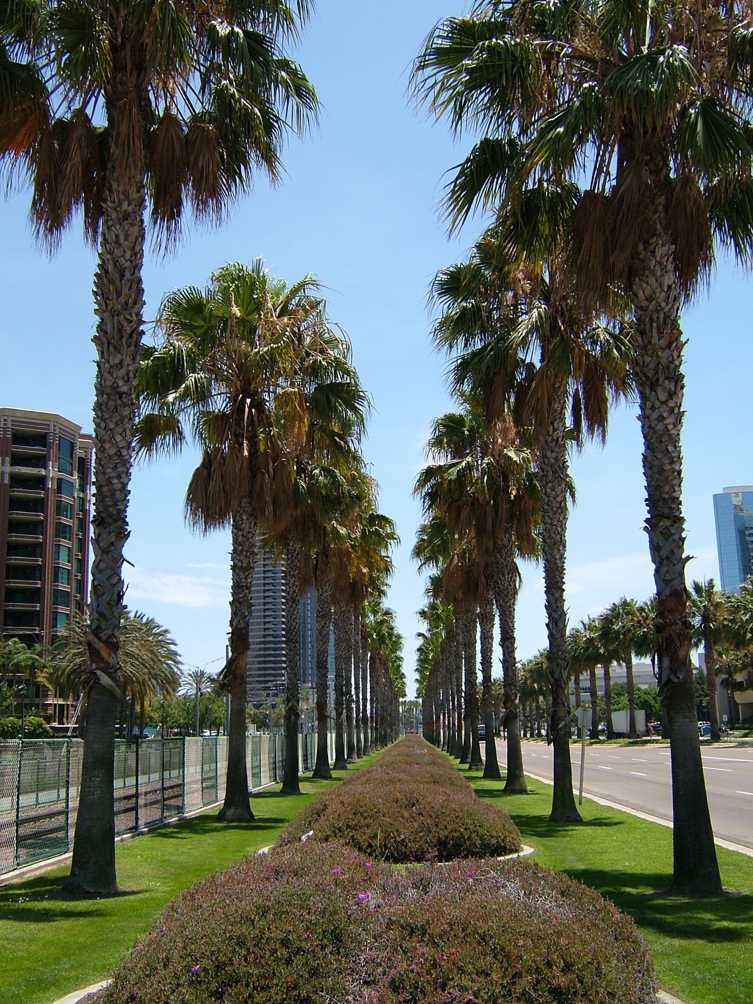 Photo 13 of 61 from the album Highlights USA 2004.