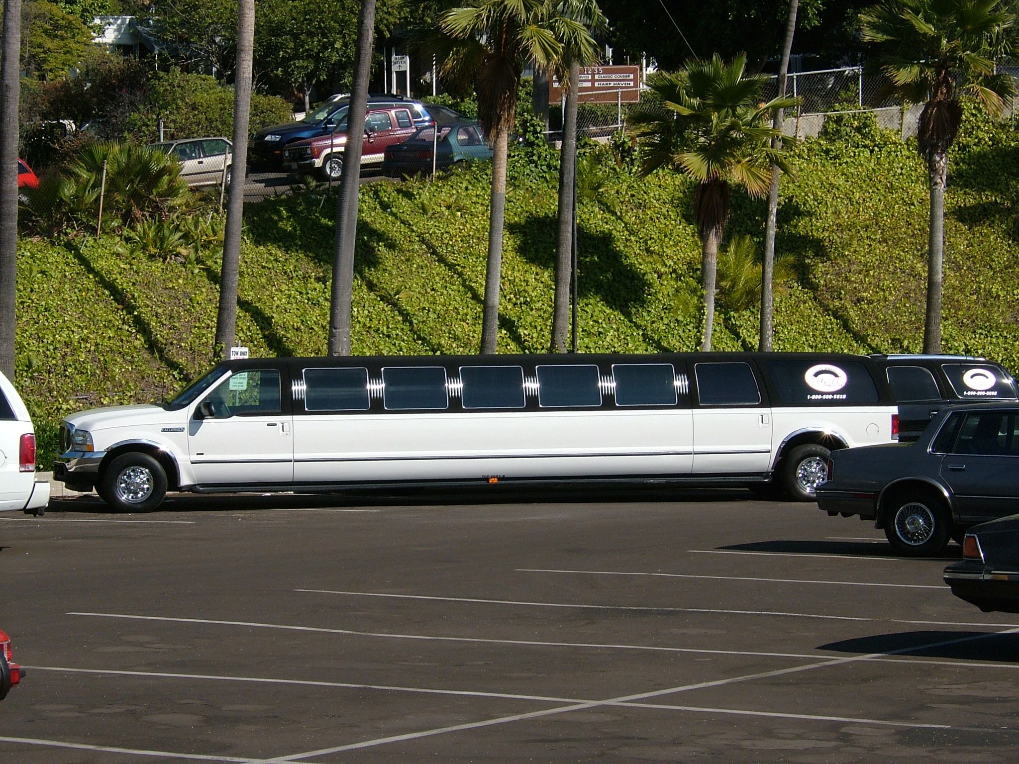 Photo 14 of 61 from the album Highlights USA 2004.