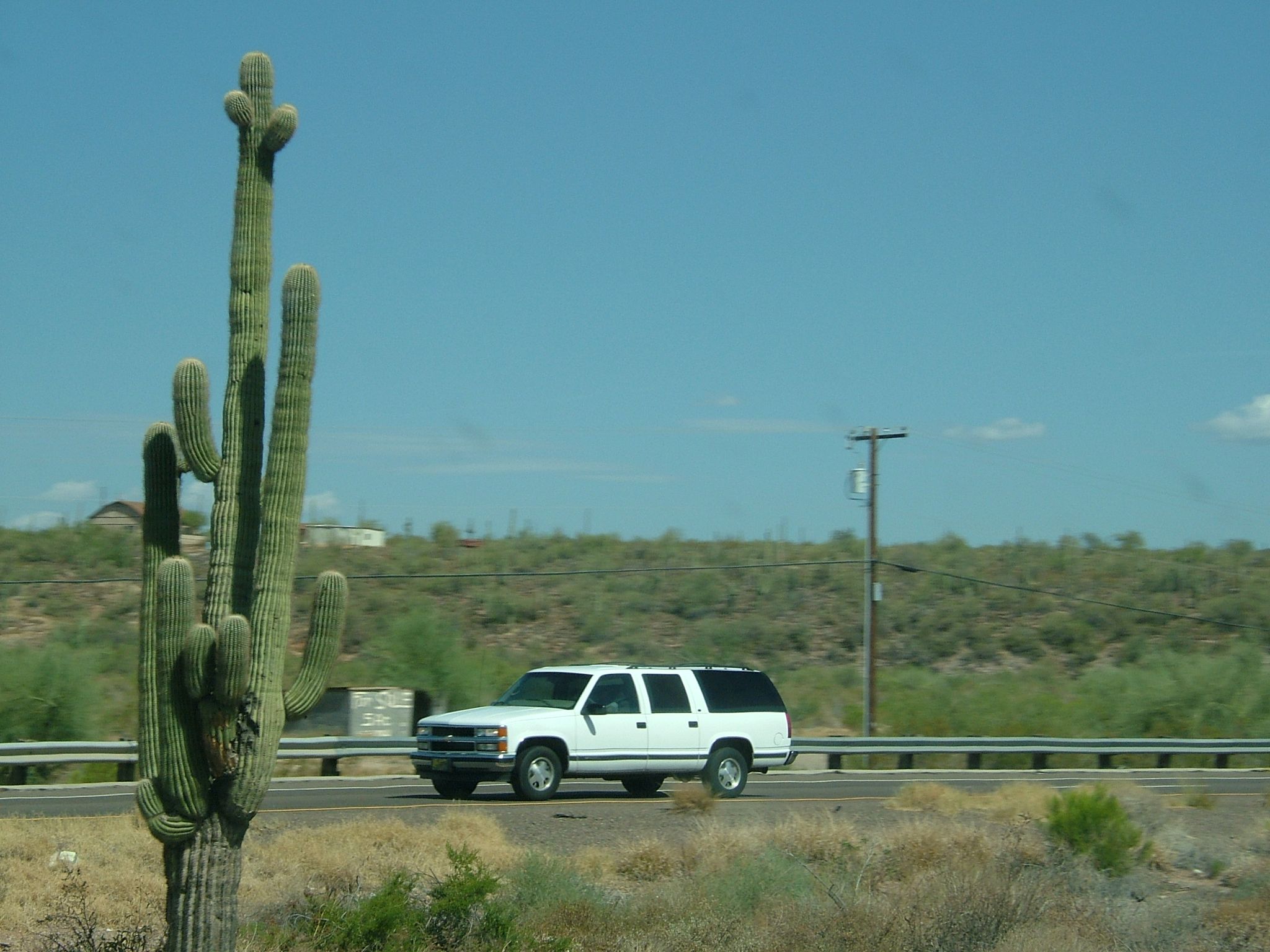 Photo 15 of 61 from the album Highlights USA 2004.