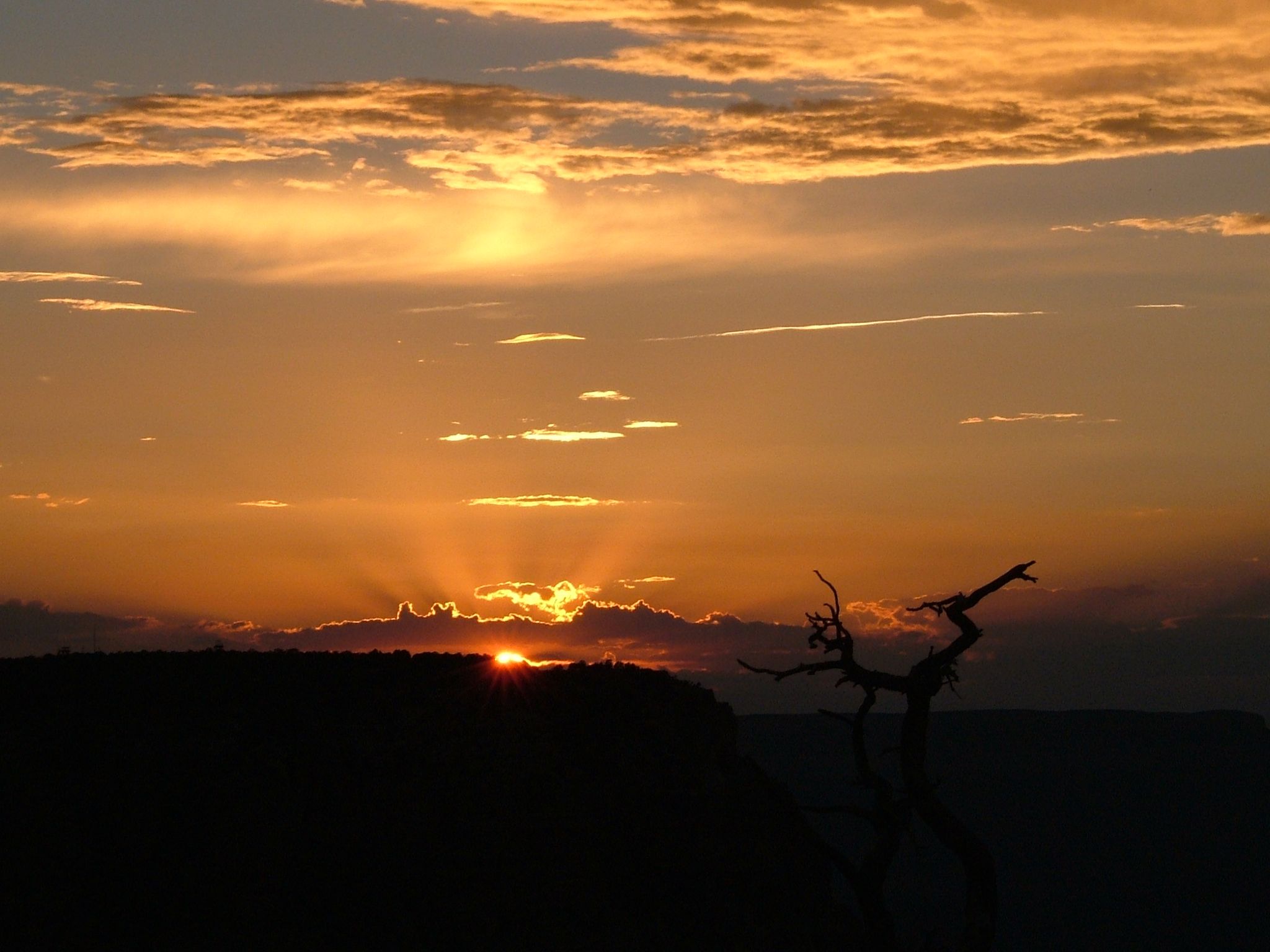 Photo 18 of 61 from the album Highlights USA 2004.